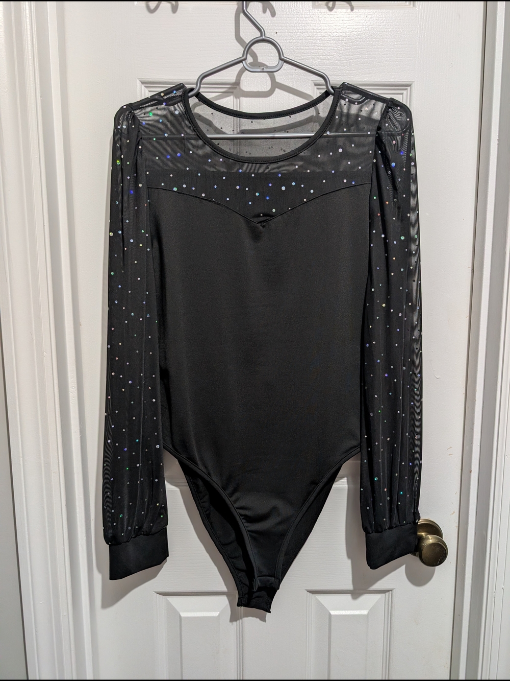 Black Mesh Long Sleeve Bodysuit with Sparkle - Never Worn!